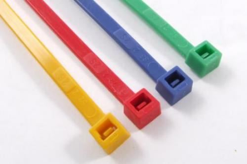 Fastrax Assorted 100Mm Nylon Tie Wraps