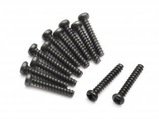 BlackZon Slyder 1/16th Pan head Self Tapping Screws PBHO2*12mm