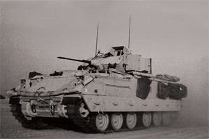 Zvesda 1/100 Bradley