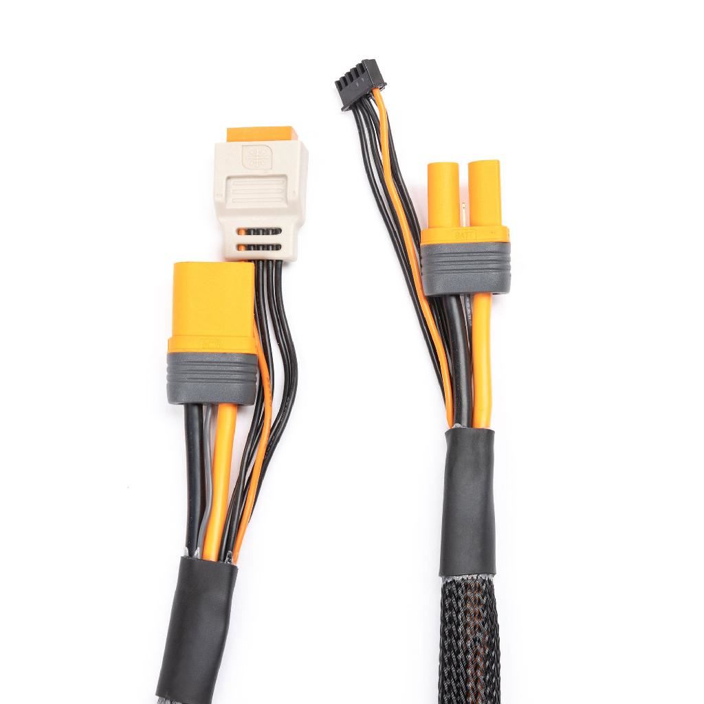 Spektrum Charge Lead With Balance Extension 24In Ic5, 2-4S