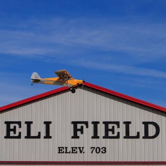 HAN Carbon Cub 15cc ARF (HAN5065)