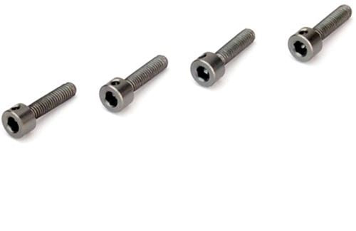 TT Aluminium Battery Strap Screw Pair