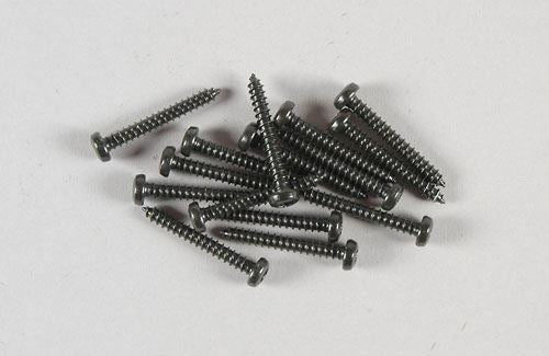 FG Modellsport P.Head TP Torx Screw 2.9x19mm(Pk15)