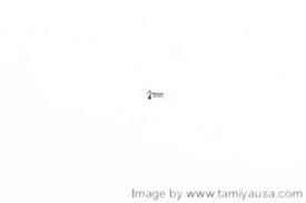 Tamiya 2X4mm Screw (10Pcs) For 58425