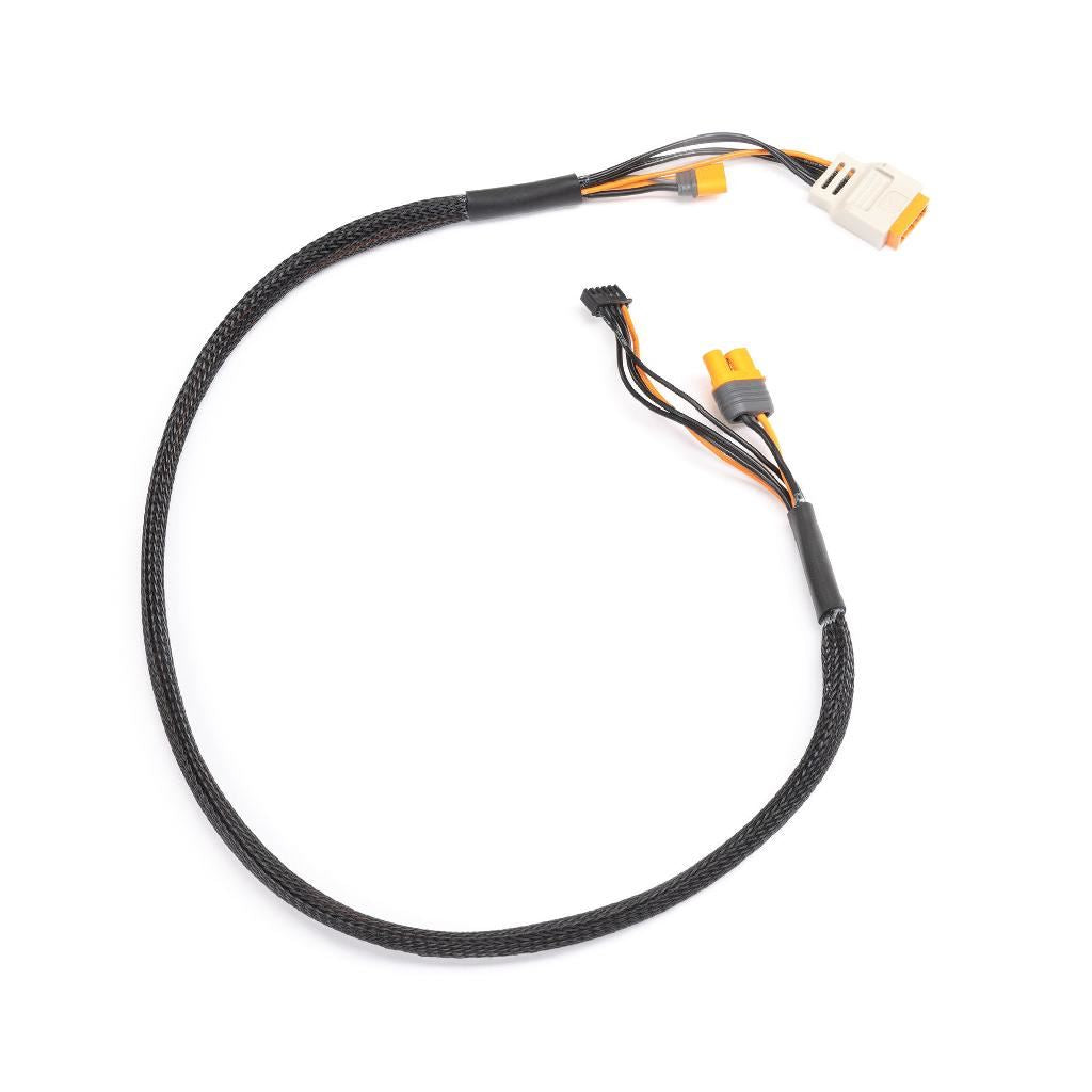 Spektrum Charge Lead With Balance Extension 24In Ic5, 2-6S