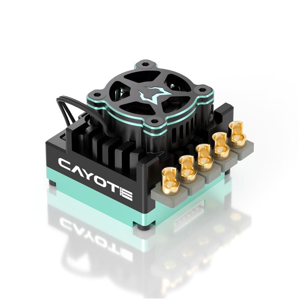 Cayote Crest Rs120 1/10 Stock Competition Esc
