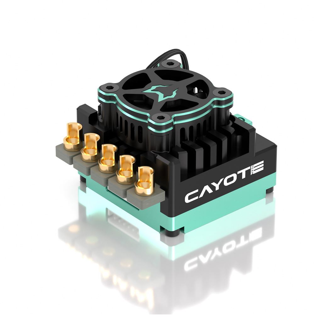 Cayote Crest Rs120 1/10 Stock Competition Esc