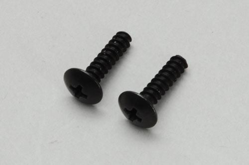 River Hobby Tapping Screw M4x10 (2Pcs)