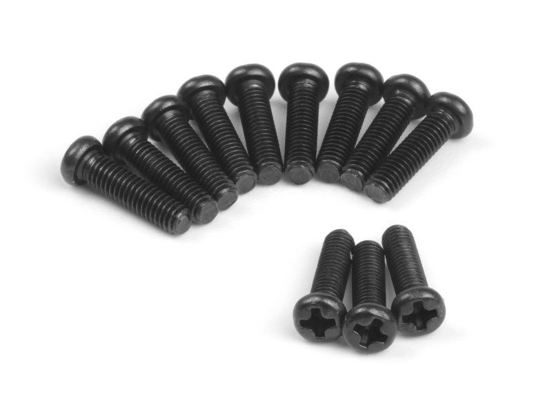 Pan Head Tapping Screws Bbho2.5*10Mm (12Pcs)