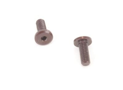 Schumacher SPEED PACK Servo Screws (2pcs)