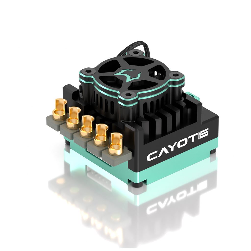 Cayote Crest Rs120 1/10 Stock Competition Esc