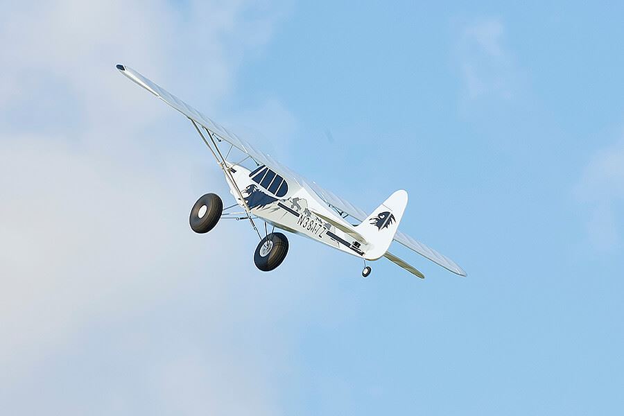 Fms 1300Mm Pa-18 Rtf With Reflex V3