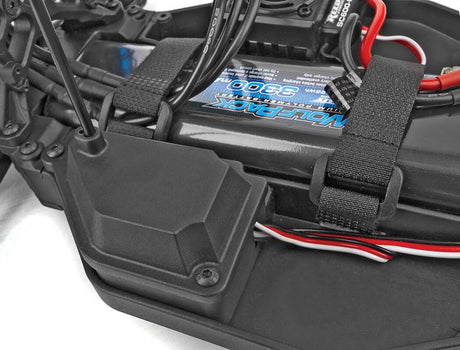 TEAM ASSOCIATED PRO2 LT10SW RYAN BEAT TRUCK RTR