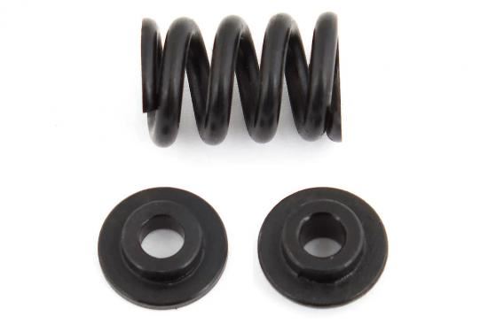 TEAM ASSOCIATED B6.1 SLIPPER SPRING