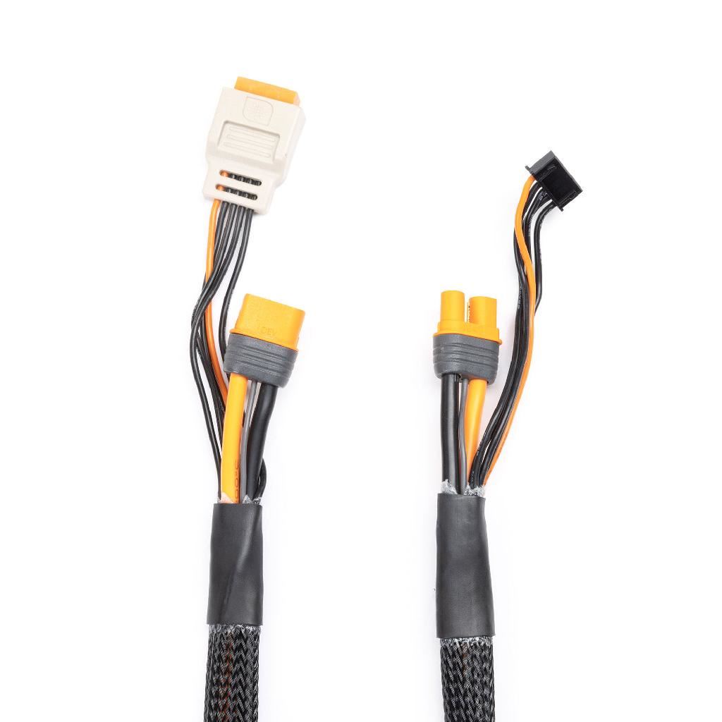 Spektrum Charge Lead With Balance Extension 24In Ic3, 2-6S