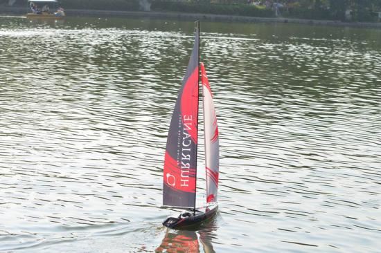 Volantex Racent Hurricane Sail Yacht Boat 1M RTR - V791-2