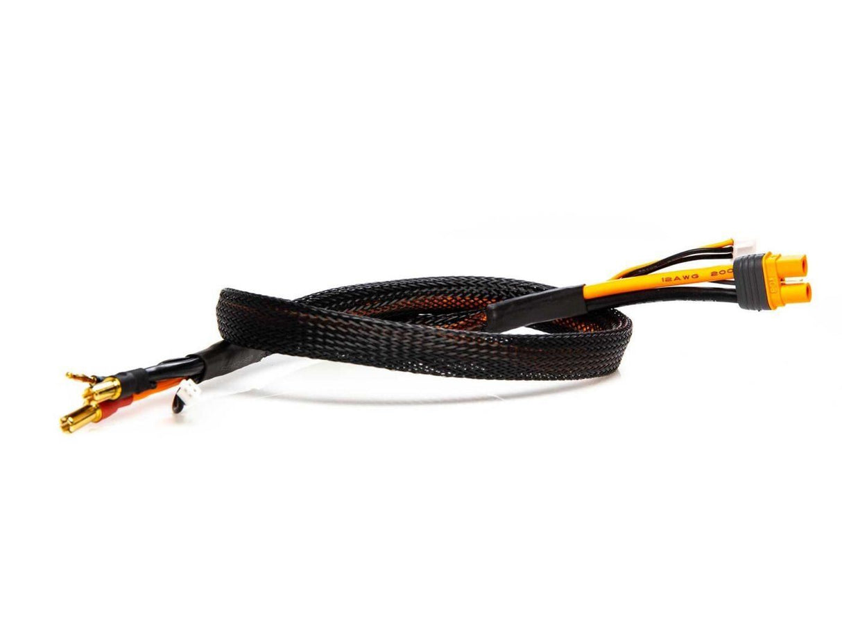 Spektrum IC3 Batt: 5mm Tube Bullet Smart 2S Charge Cable 2'