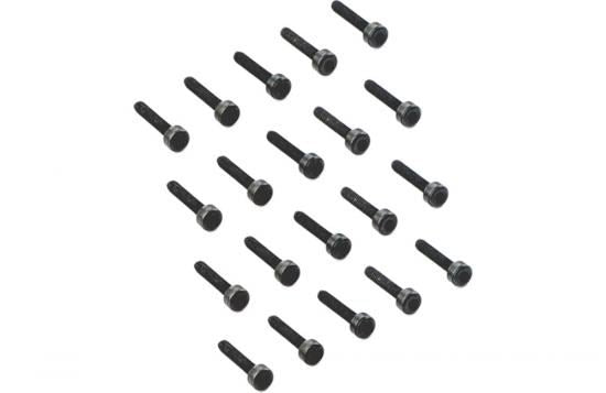 TT M2x10mm Socket Screw x20