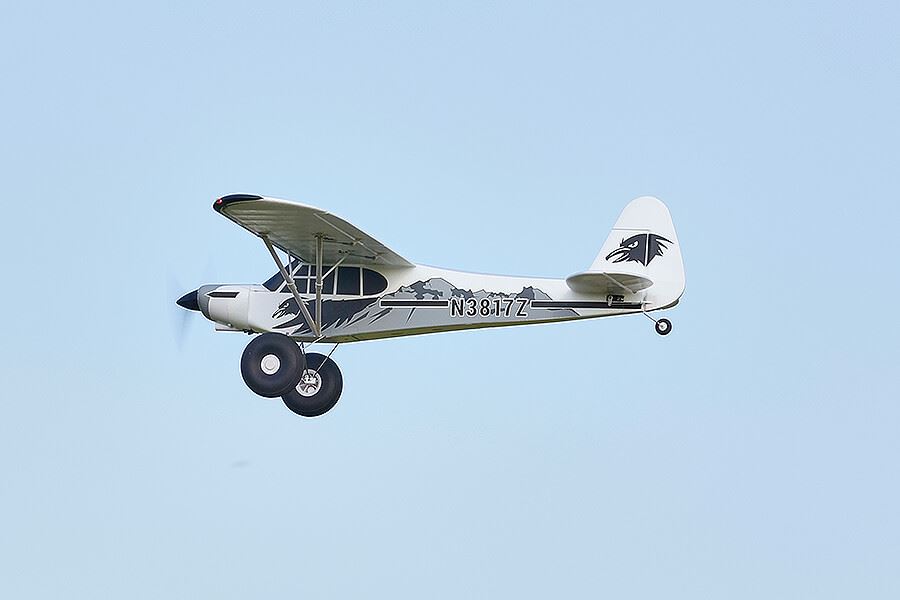 Fms 1300Mm Pa-18 Rtf With Reflex V3