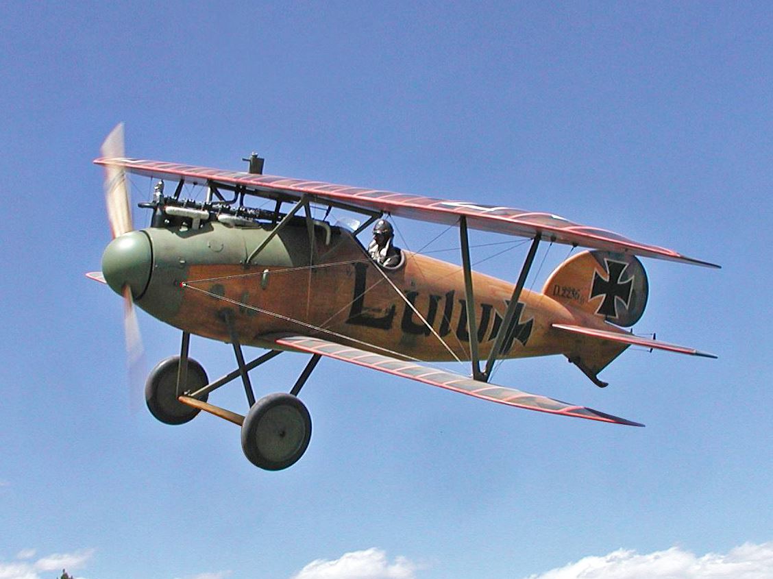 BAIR Albatros DV - 39in electric scale kit