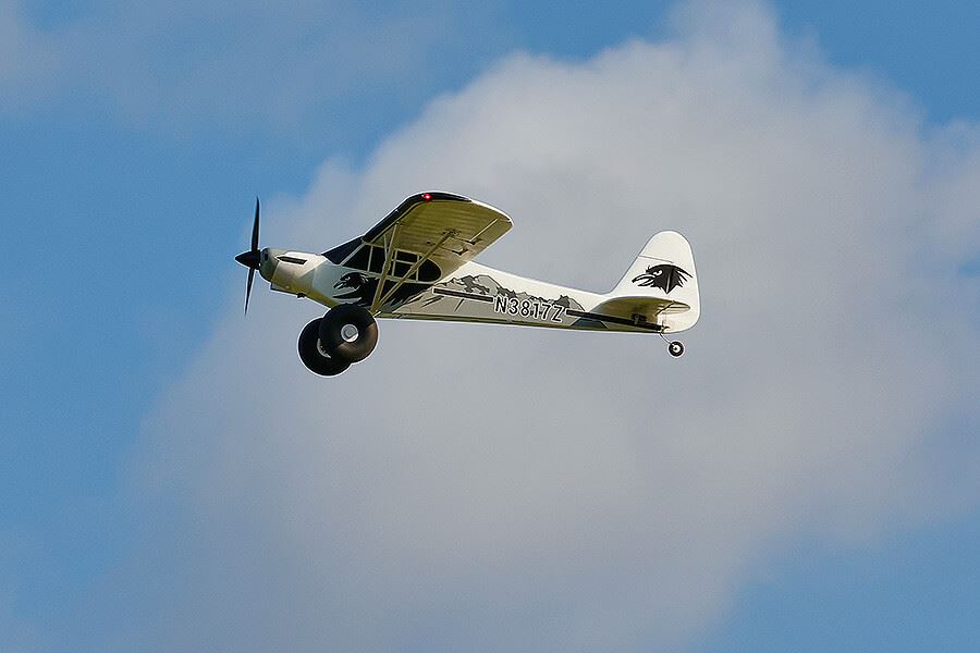 Fms 1300Mm Pa-18 Rtf With Reflex V3