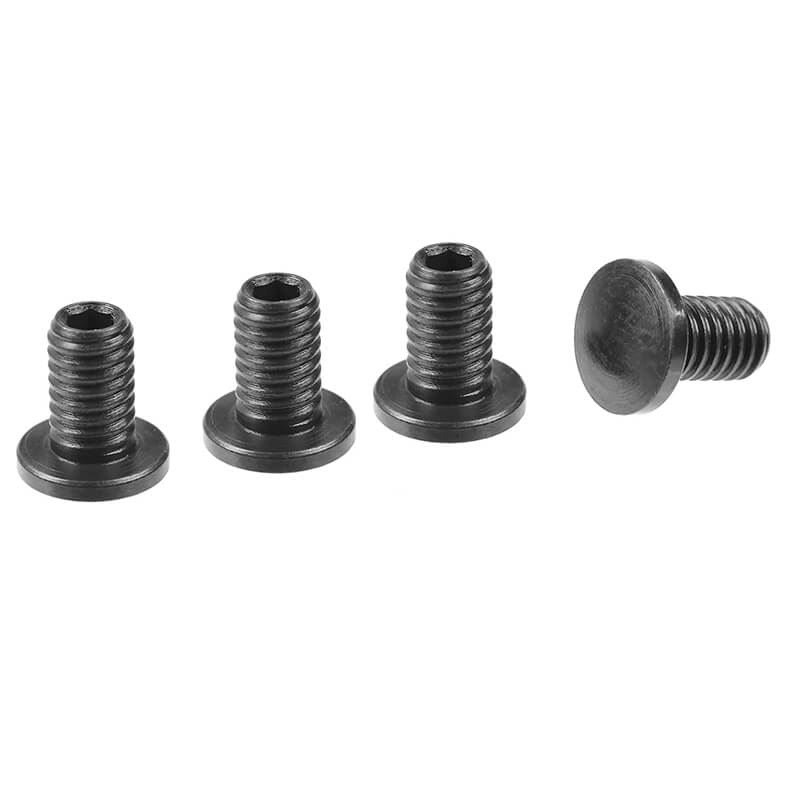 Corally Droop Screws With Inner Hex Steel 4 Pcs