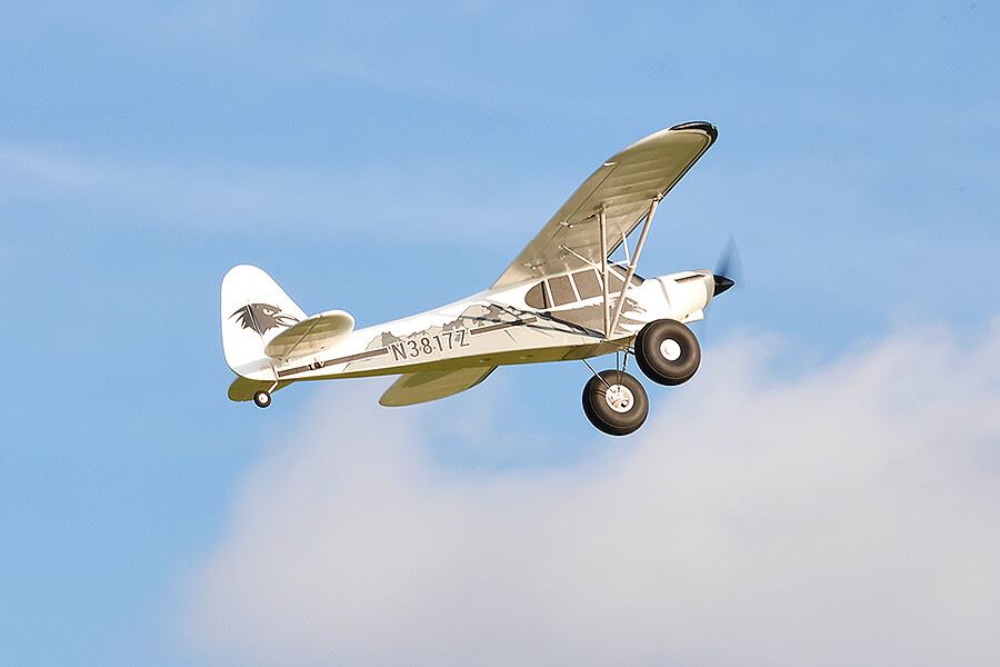 Fms 1300Mm Pa-18 Rtf With Reflex V3