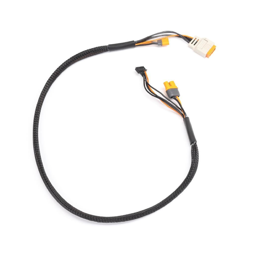Spektrum Charge Lead With Balance Extension 24In Ic2, 2-4S