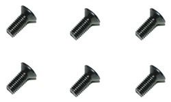 Anderson 2.5x8mm Screw