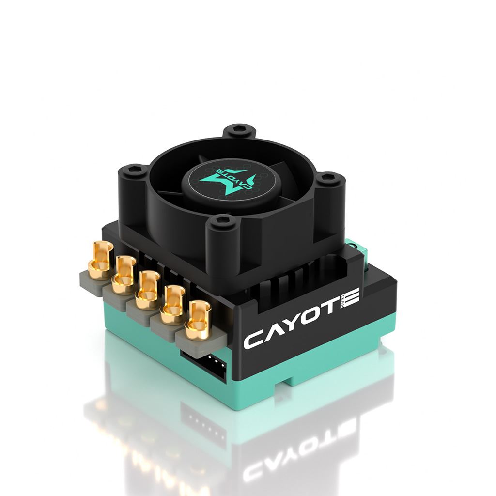 Cayote Crest Rs60 1/10 Stock Competition Esc