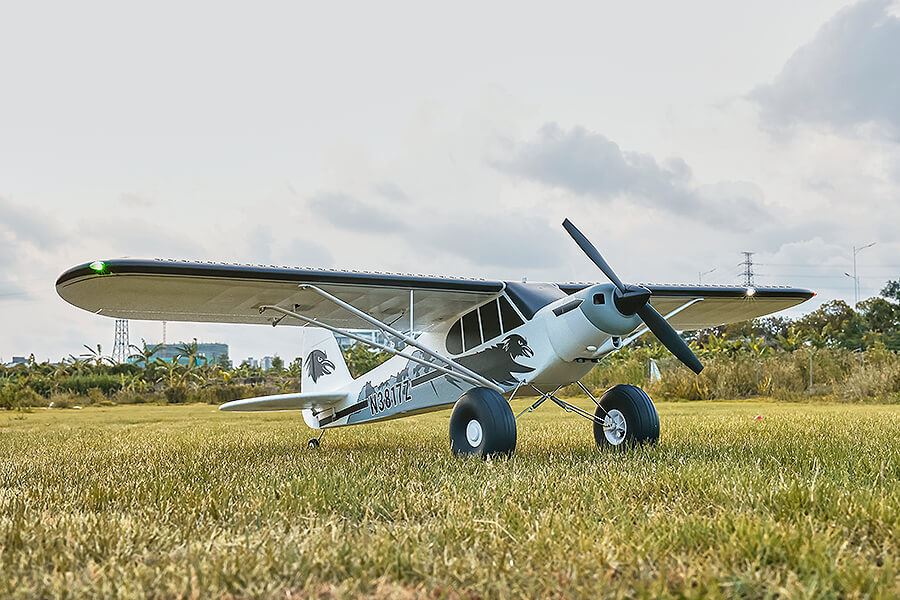 Fms 1300Mm Pa-18 Rtf With Reflex V3