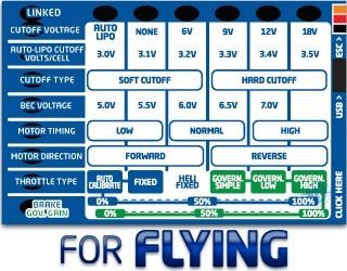 CASTLE Field Link Programmer for Flying