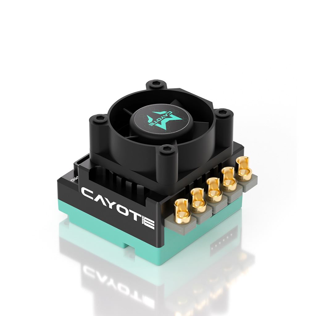 Cayote Crest Rs60 1/10 Stock Competition Esc