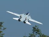 Xfly Twin 40Mm F-14 Tomcat Edf 700Mm Jet Without Tx/Rx/Battery
