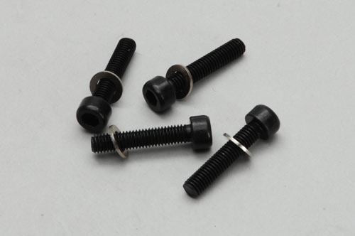 River Hobby Crankcase Screws (4pcs)
