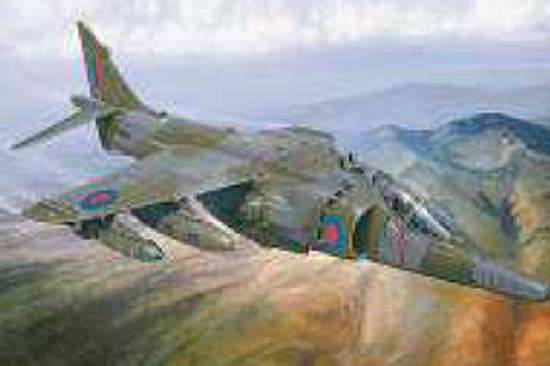 Italeri Harrier Gr.3 Falkland