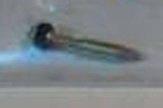 Badger Plunger With O-Ring