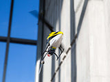 Blade 120 S2 BNF