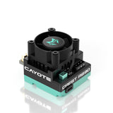 Cayote Crest Rs80 1/10 Stock Competition Esc