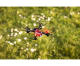 Carson X4 Quadcopter Angry Bug 2.0 100% RTF