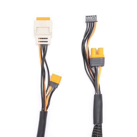 Spektrum Charge Lead With Balance Extension 24In Ic2, 2-4S