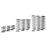 Yeah Racing Desert Lizard DDL 110mm Spring Set