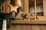 WOOD TRICK Space Spider
