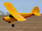 Hobbyzone Champ Anniversary Special Edition 515Mm Bnf Basic With Safe