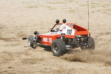 Tamiya Buggy Champ/Rough Rider Ltd