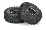 PROLINE HYRAX 1.9  PREDATOR ON IMPULSE BLK/SILV B/LOCK WHEELS