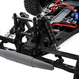 ECX AMP MT 1:10 2WD Monster Truck: Black/Green RTR INT (ECX03028IT2)
