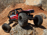Axial 1/10 Capra 1.9 4WS Unlimited Trail Buggy RTR, Black