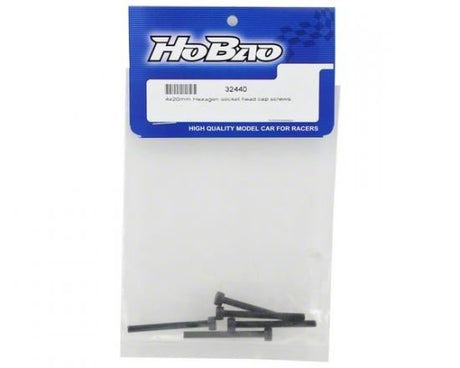 HOBAO M4 X 40MM HEX SOCKET HEAD CAP SCREWS (2)