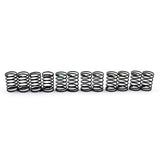 Yeah Racing 55mm Big Bore Go Spring Set